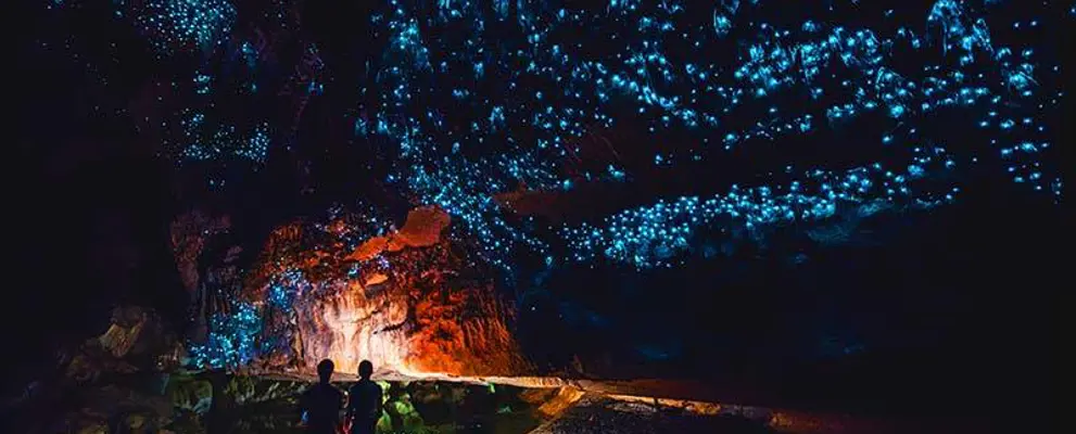 incredible experiences