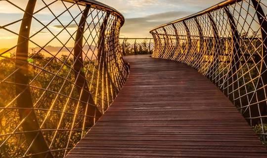 The Boomslang walkway in South Africa