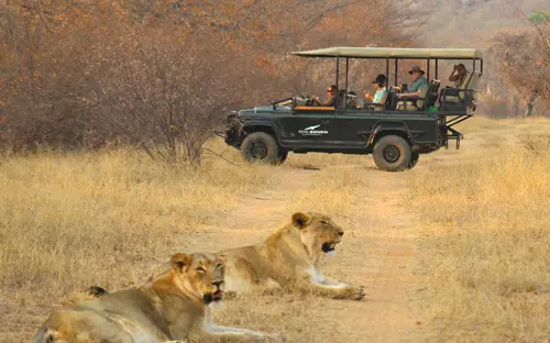 Royal Morubisi_Game Drives (12).jpg