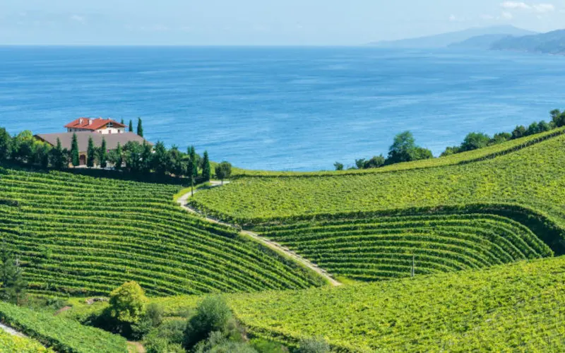flavours-of-spains-basque-country-la-rioja_1.jpg
