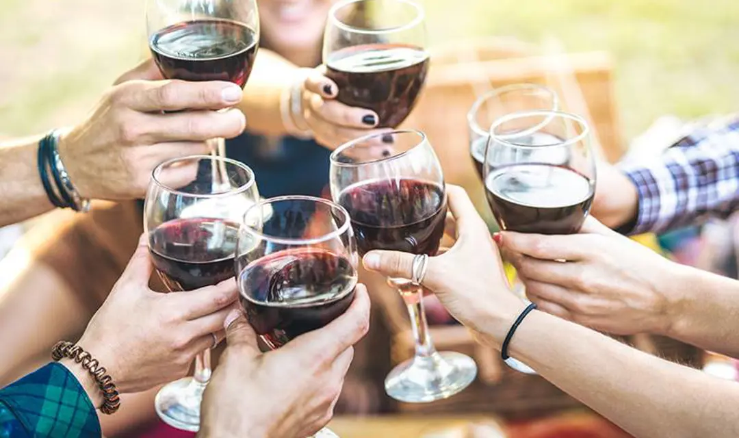 Wine making on Italian Riviera
