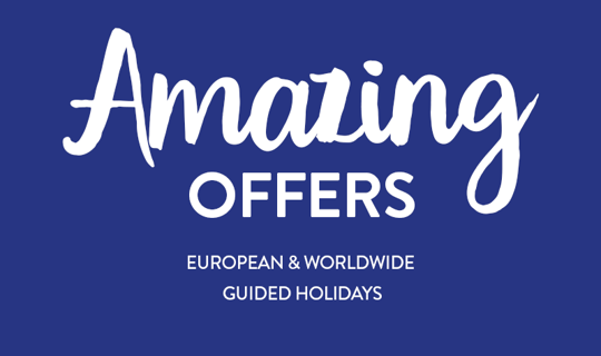 amazing holiday offers