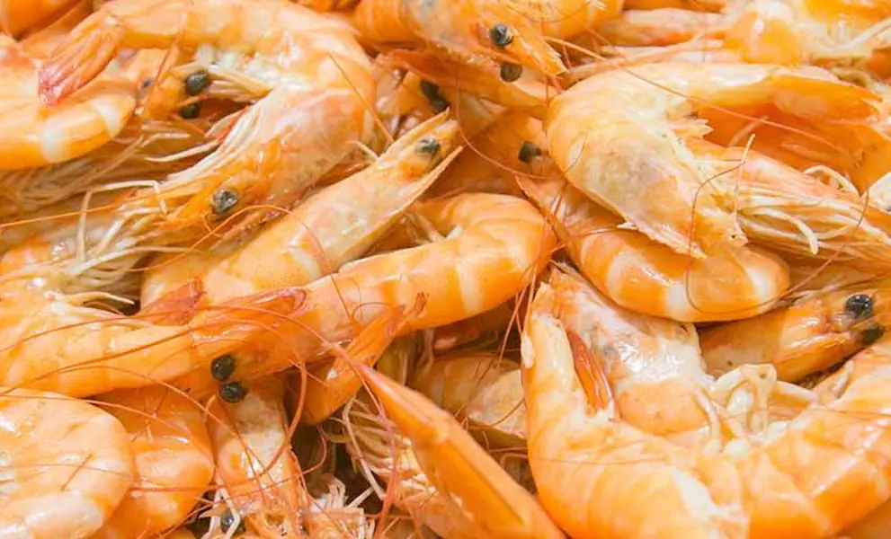 Prawns