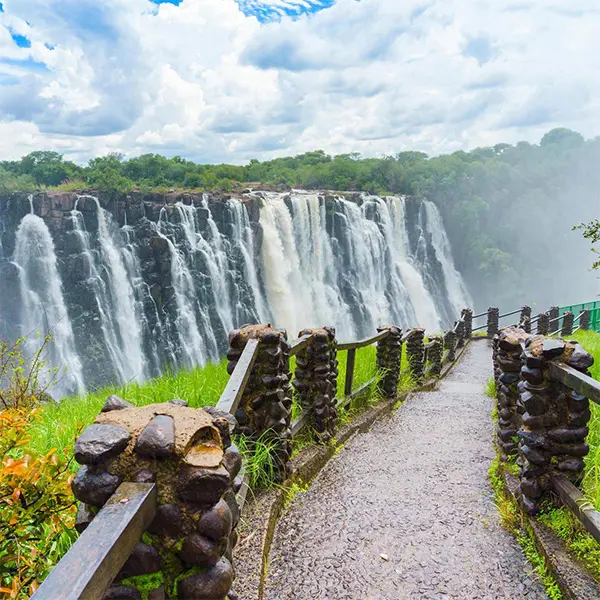 Livingstone's Africa square 1.jpg