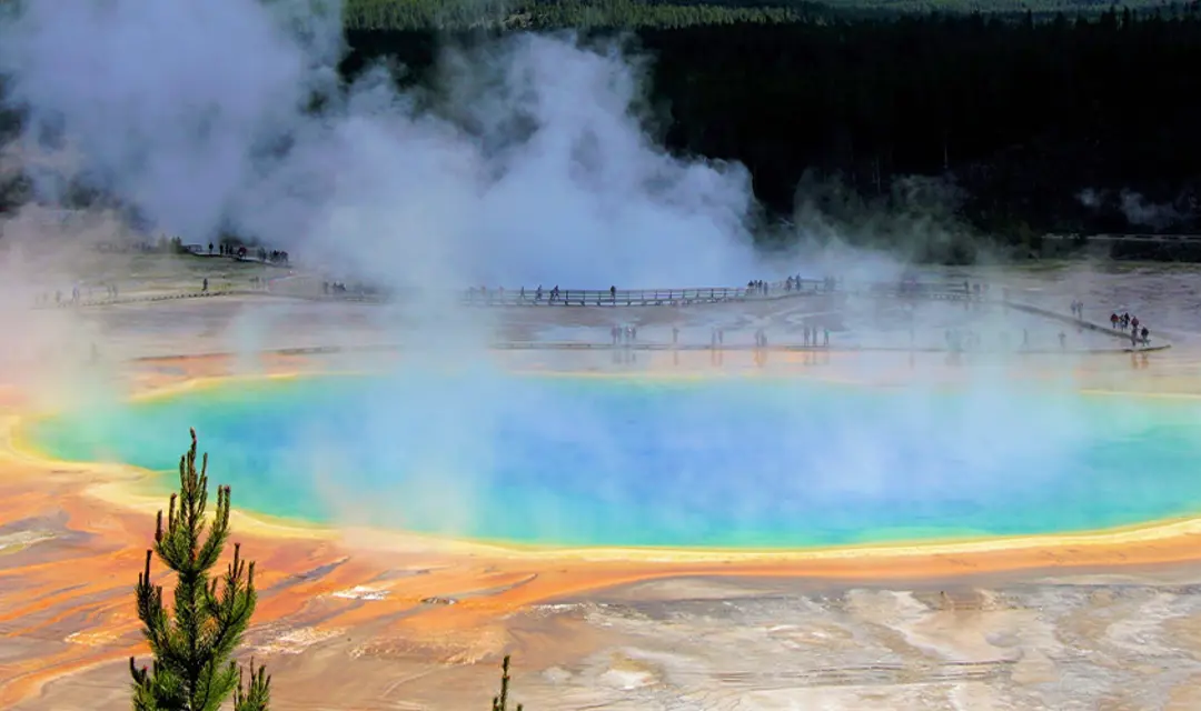 yellowstone park guided tour