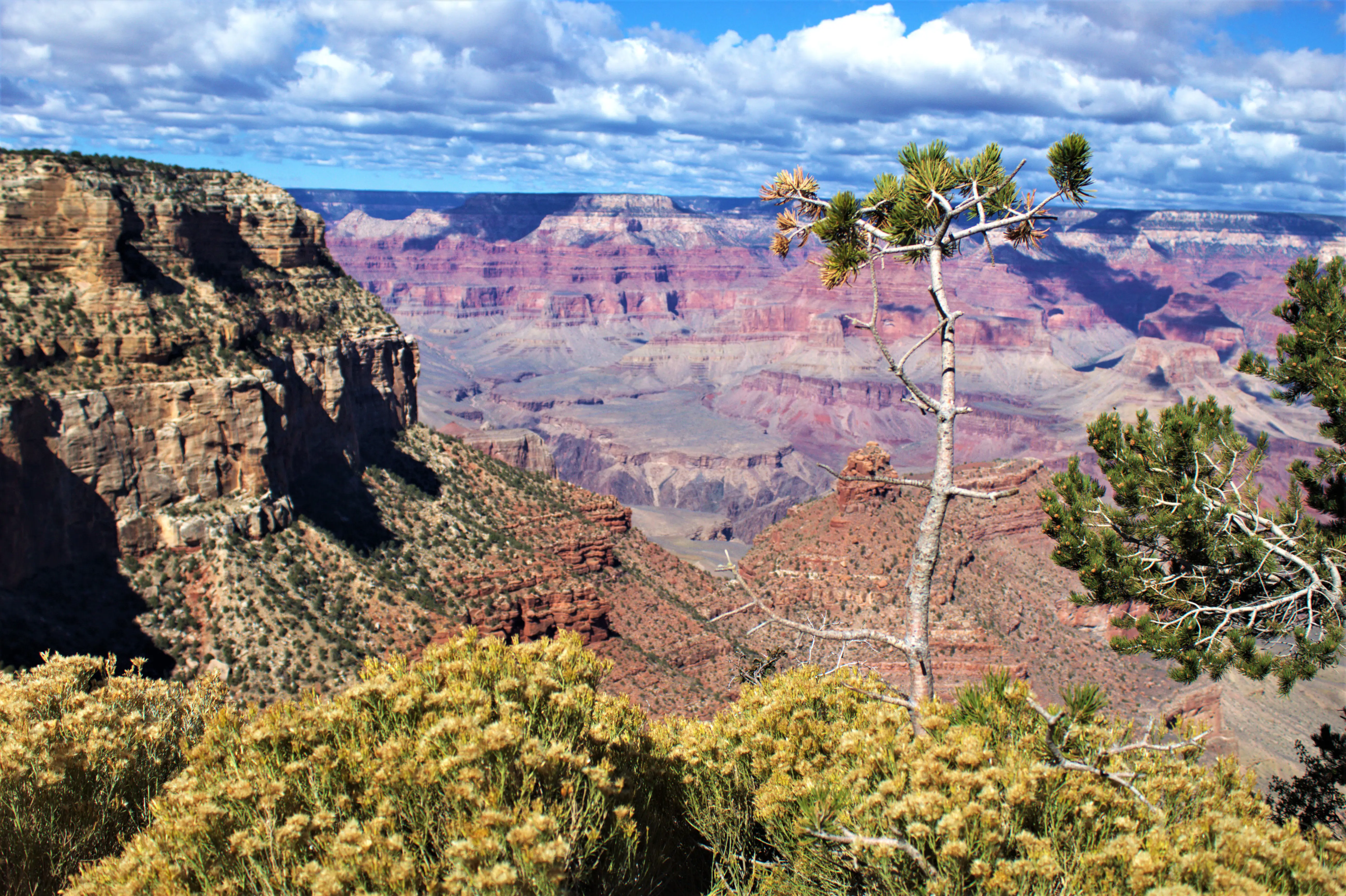 the Grand Canyon