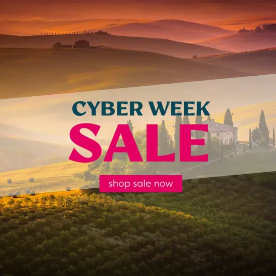 Cyber Week (1080 x 1080 px).jpg