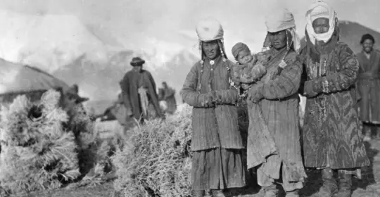 2. Carousel 5 Stans.png