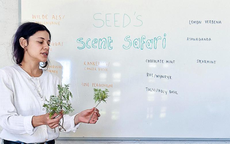 TS_SEED_3_800x500.jpg