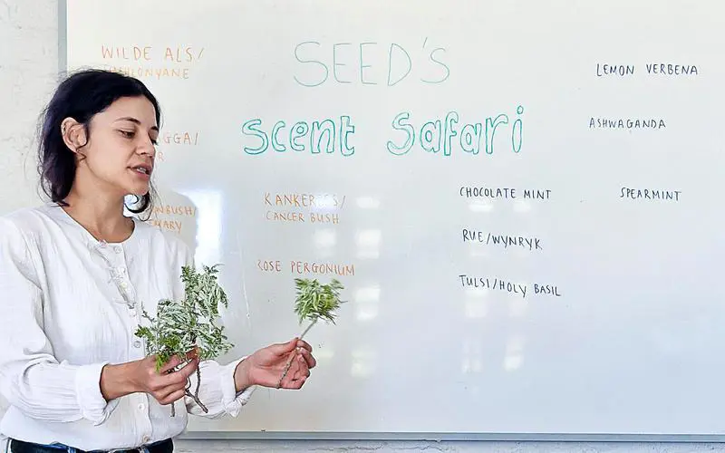 TS_SEED_3_800x500.jpg