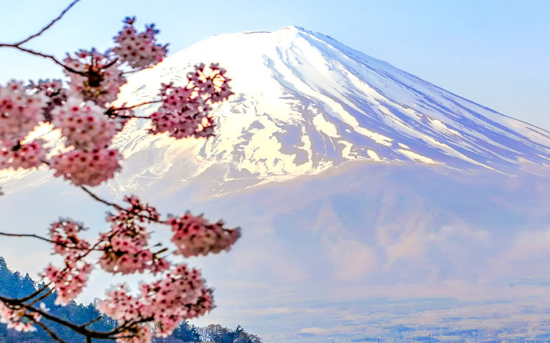 Japan - Land of the Rising Sun
