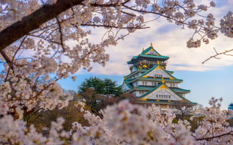 A Year of Travel - Japan