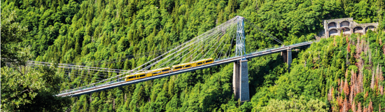 Little Trains of the Pyrenees