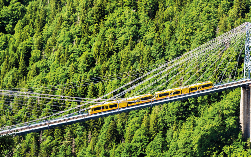 Little Trains of the Pyrenees