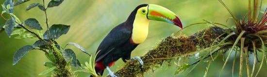 The Best of Costa Rica