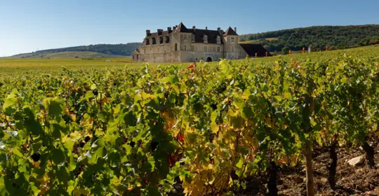 Château du Clos de Vougeot.jpg