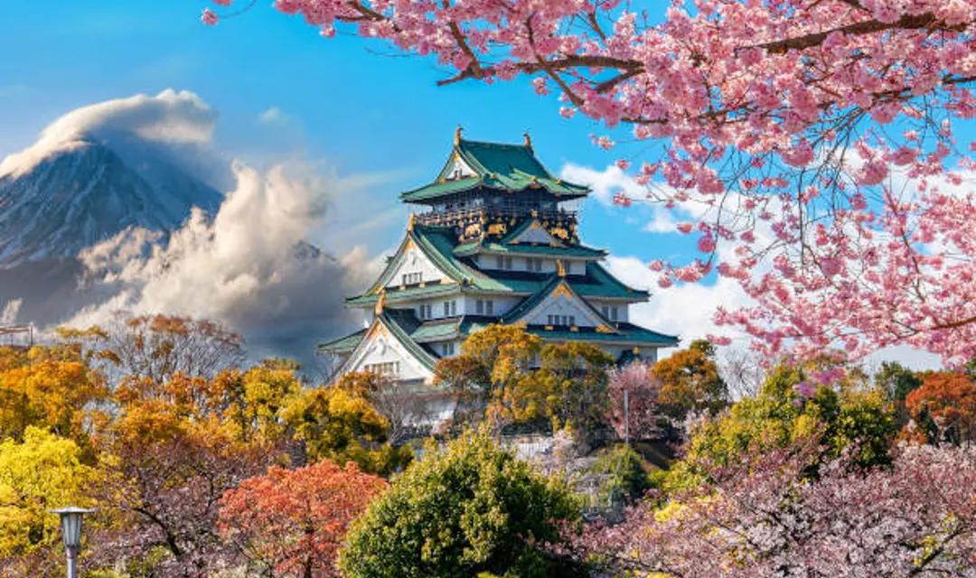japan rgs 3.jpg