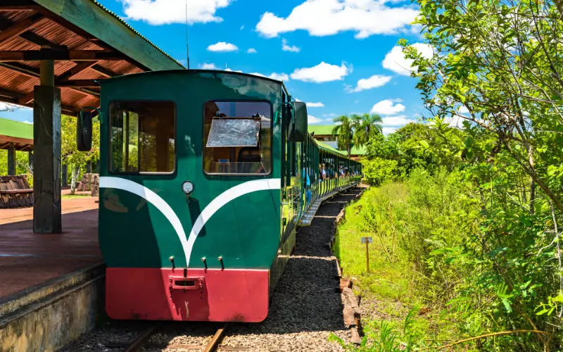 Iguazu Falls in Argentina and Brazil - the Ecological Train