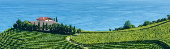 Flavours of Spain's Basque Country & La Rioja