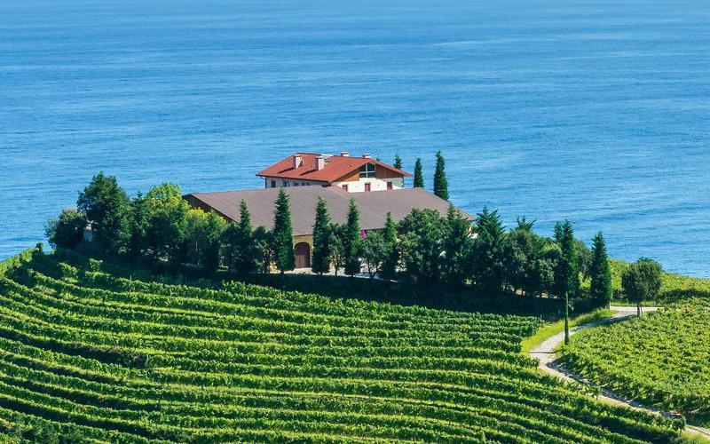 Flavours of Spain's Basque Country & La Rioja