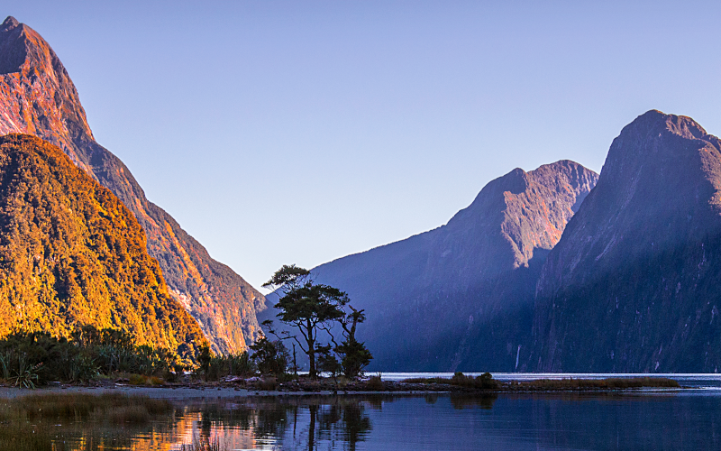 Discover New Zealand
