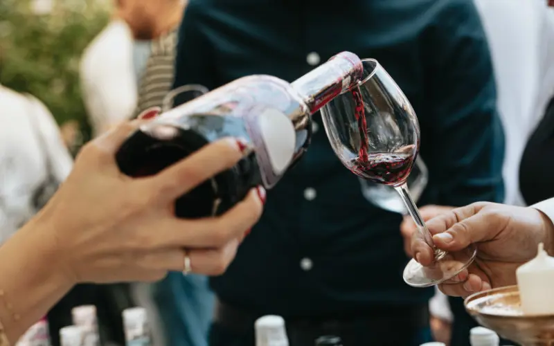 Best things to do in Bordeaux - wine tasting