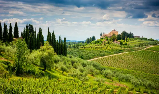 Chianti hills with vineyards and cypress. Tuscan Landscape between Siena and Florence. Italy