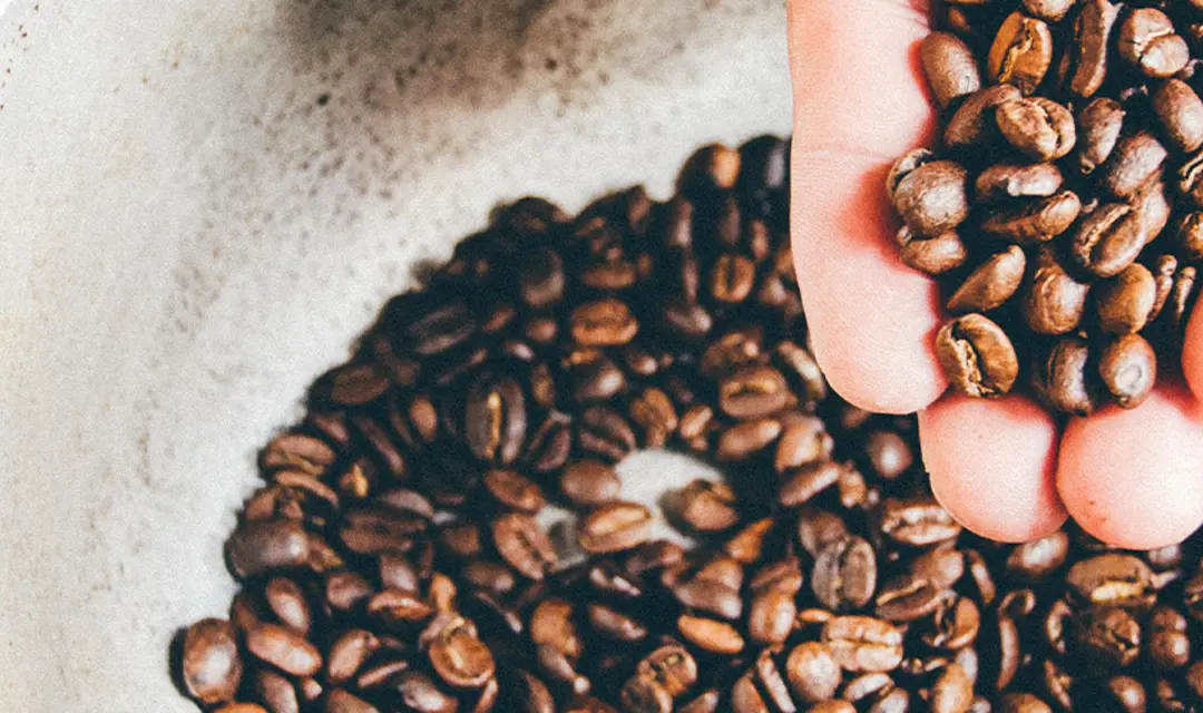 Mi Cafecito Banner
